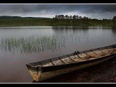 dalarna canoe