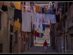 laundry : venice