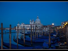 moonset gondolas : venice